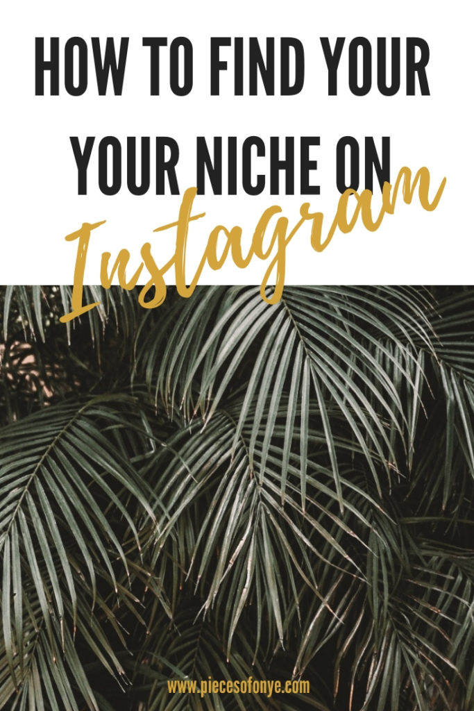 Tips-For-Finding-Your-Niche-on-Instagram
